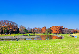 公園